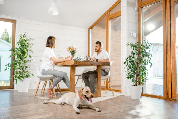 Como Manter a Casa Limpa e Organizada com Cachorro